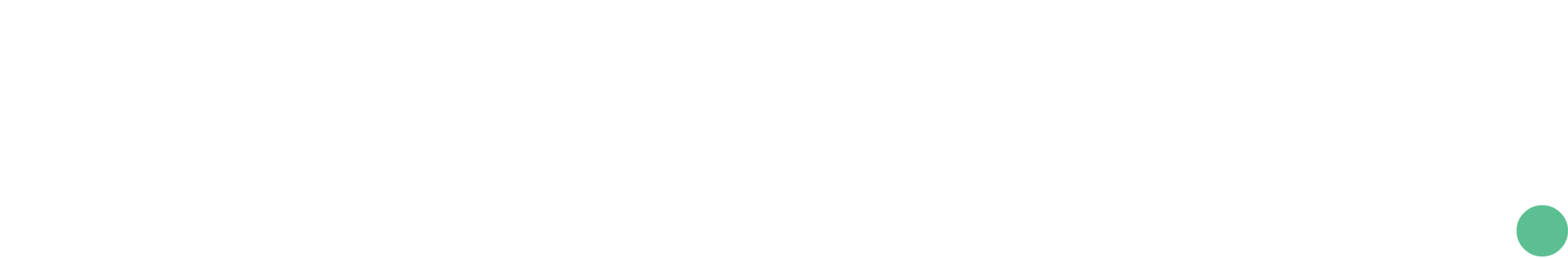 Cleverise Logo